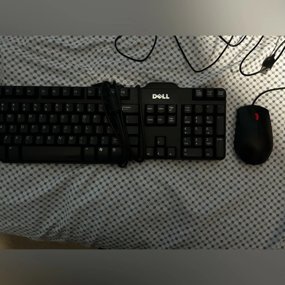 Dell Keyboard with a Lenovo Computer Mouse